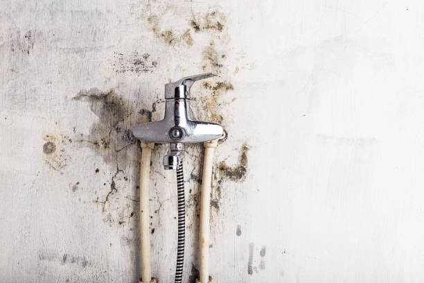 Best Emergency Mold Removal  in Oak Hills, OR