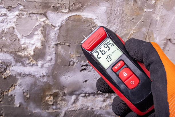 Trusted Oak Hills, OR Mold Removal Experts