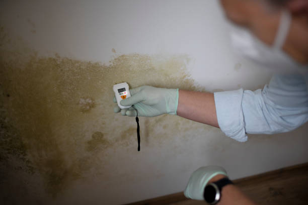 Best Commercial Mold Removal  in Oak Hills, OR