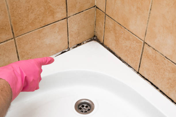 Best Mold Damage Repair  in Oak Hills, OR